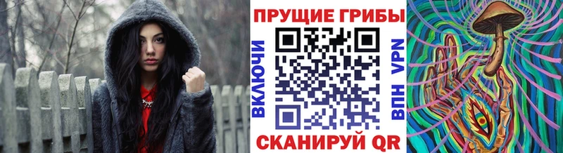 Галлюциногенные грибы прущие грибы  Купить где  Бакал 