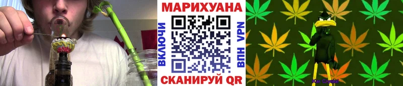 Каннабис план  Купить закладки  Бакал 